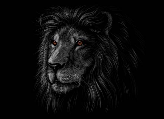 霸气狮子头裁片印花服装，展现个性与力量的时尚选择