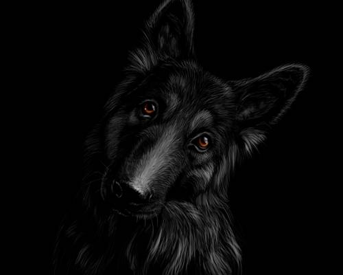 神秘狼头裁片印花服装 打造独特街头风格