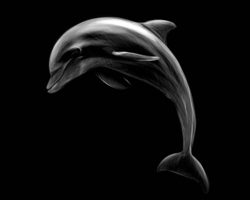 时尚海豚裁片印花服装，展现海洋魅力的服装印花设计