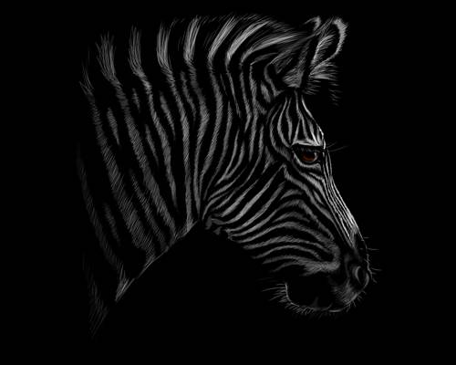 时尚斑马纹裁片印花服装 个性潮流服装印花设计