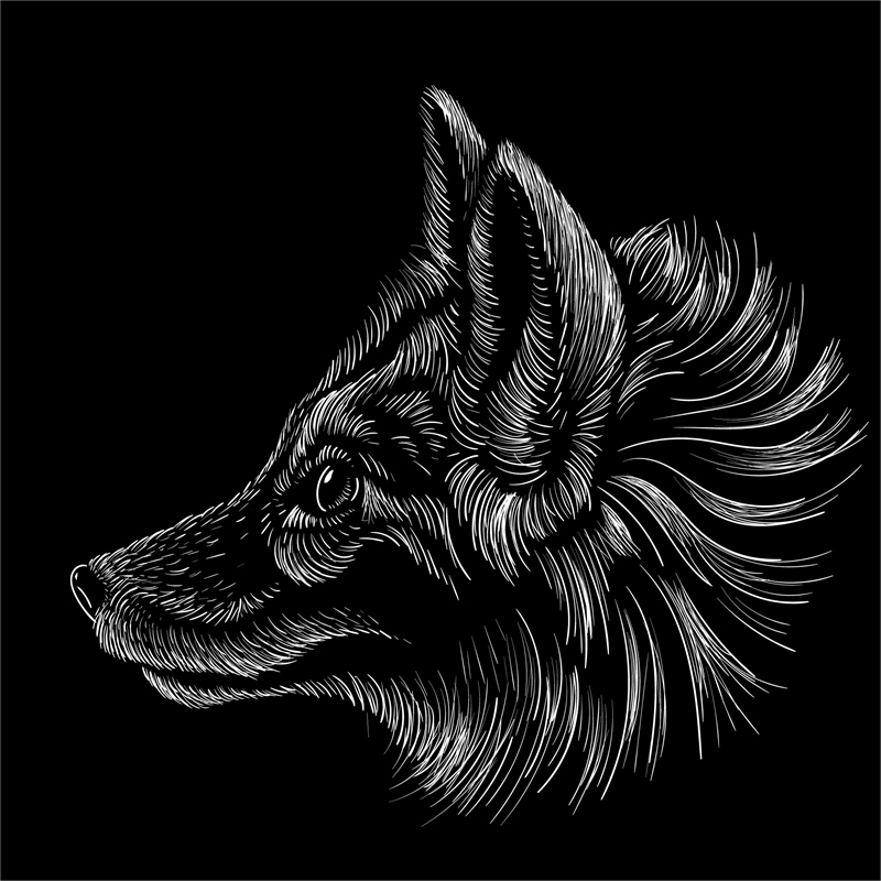 独特野猪头裁片印花服装 展现个性魅力的时尚选择
