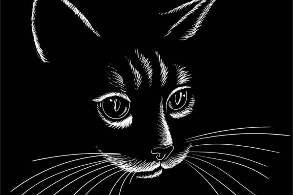 时尚猫咪裁片印花服装 打造独特个性风格