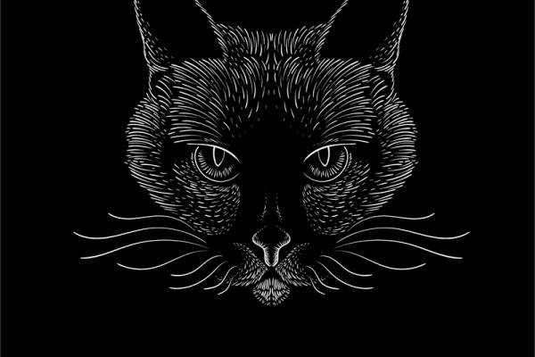 时尚猫咪裁片印花服装:独特设计引领潮流