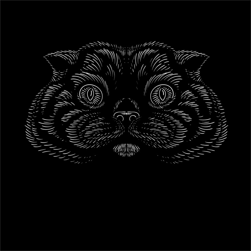 时尚潮流黑色底熊猫裁片印花服装