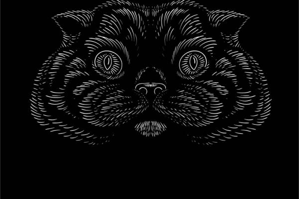 时尚潮流黑色底熊猫裁片印花服装