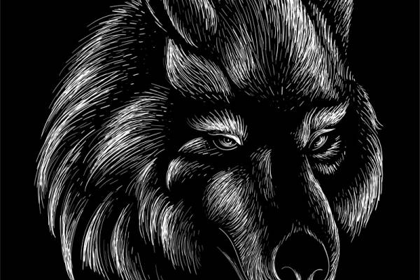 时尚狼头裁片印花服装印花设计