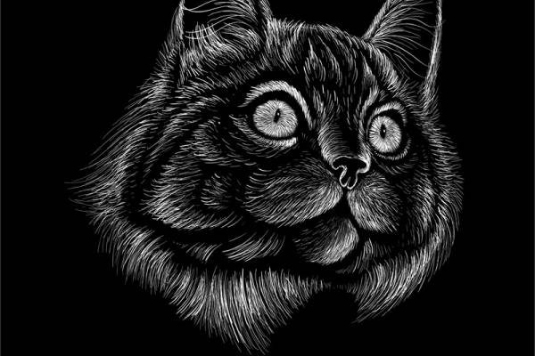 独特黑猫裁片印花服装 打造个性时尚风格