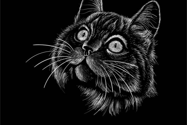 时尚个性黑猫裁片印花服装印花设计