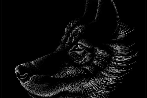 时尚潮牌野猪裁片印花服装 个性黑白图案设计