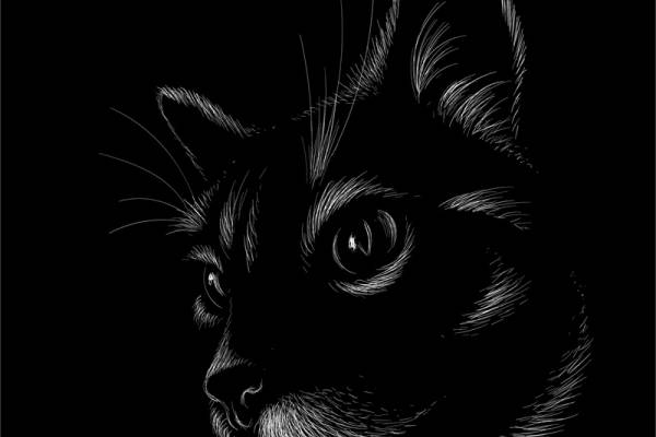 时尚前沿：独特黑猫裁片印花服装印花设计