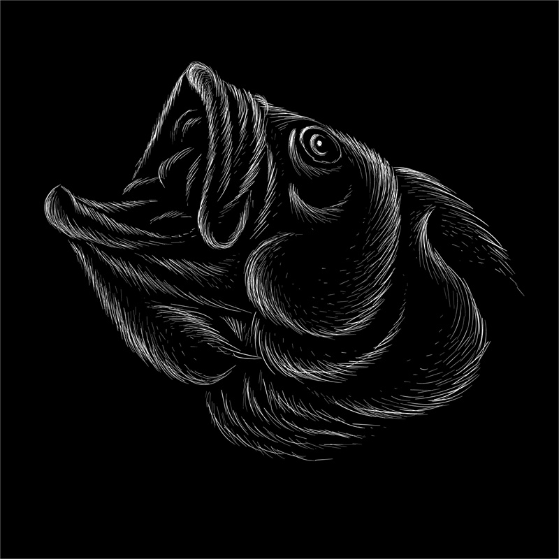 时尚个性黑白线描裁片印花服装
