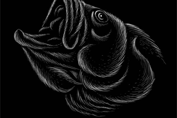 时尚个性黑白线描裁片印花服装