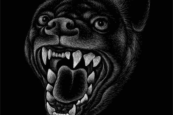 时尚街头风黑熊怒吼裁片印花服装印花设计