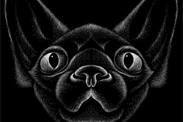 时尚个性法斗犬裁片印花服装印花设计