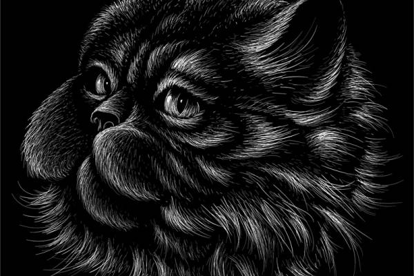 独特黑熊图案裁片印花服装印花设计