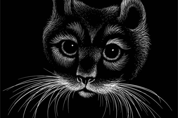 时尚潮流黑猫裁片印花服装印花设计