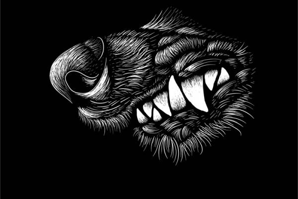 时尚街头风格老虎头裁片印花服装印花设计