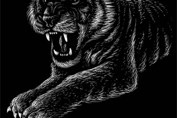 时尚黑色背景狼头裁片印花服装印花设计