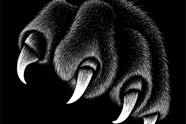 时尚野性魅力：黑白色猛犸象裁片印花服装