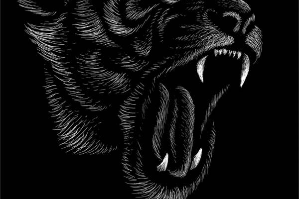 独特黑白风格狼头裁片印花服装印花设计