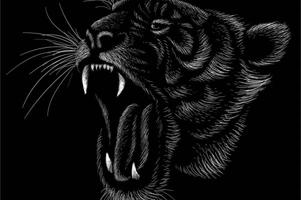 时尚街头风格黑豹裁片印花服装印花设计