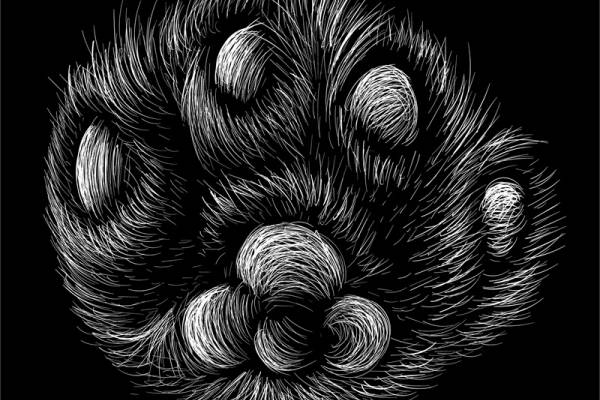 黑白抽象线条风格裁片印花服装印花设计