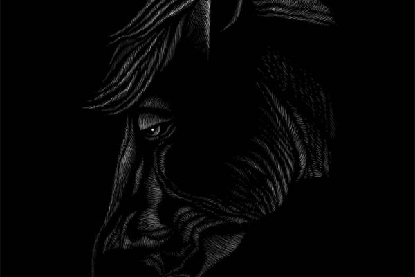 时尚潮流马头裁片印花服装印花设计