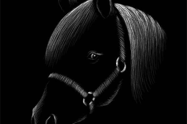 时尚黑色马头裁片印花服装印花设计