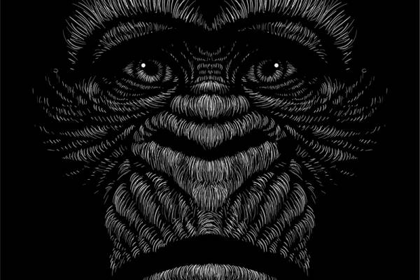 独特创意裁片印花服装：神秘黑猩猩图案设计