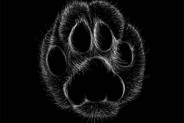 时尚潮流个性裁片印花服装 独特黑白图案设计