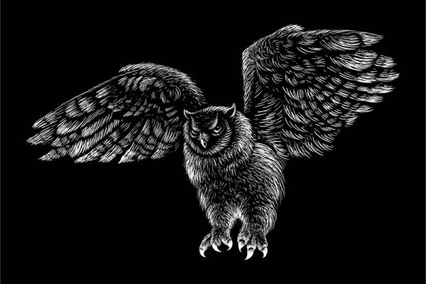 时尚猫头鹰裁片印花服装 独特黑白设计服装印花