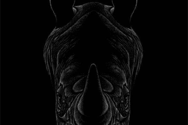 时尚犀牛裁片印花服装，展现独特个性的街头风格