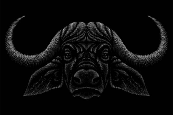 独特野牛裁片印花设计，展现个性服装印花艺术