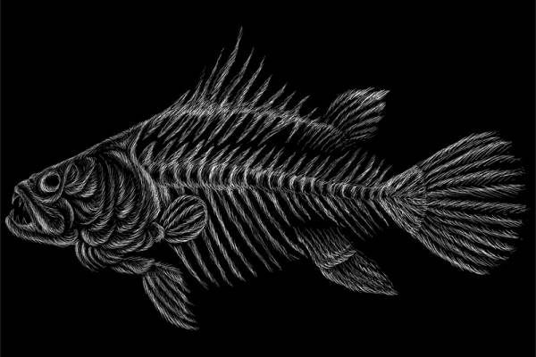 时尚黑底白线鱼形裁片印花服装设计