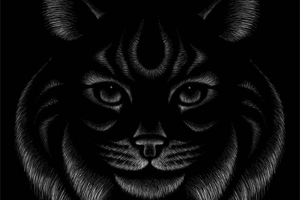 时尚黑豹裁片印花服装 个性潮流服装印花设计