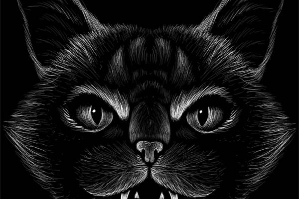 时尚黑狼头裁片印花服装 潮流街头风格服装印花设计