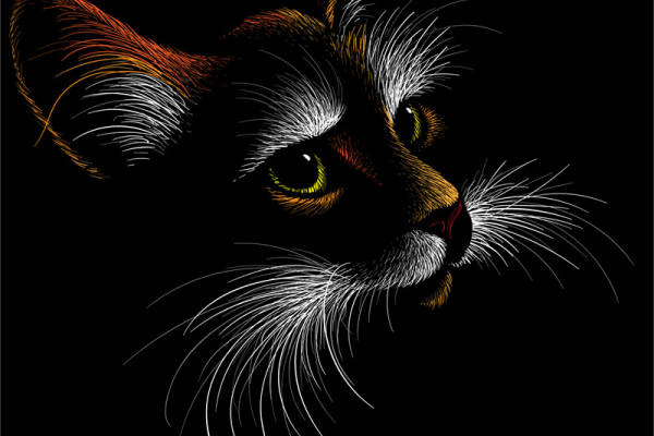 时尚个性黑底彩色狐狸头裁片印花服装