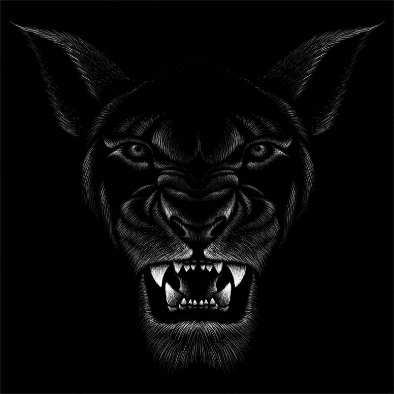 时尚街头风格狼头裁片印花服装印花设计