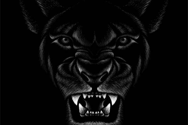 时尚街头风格狼头裁片印花服装印花设计