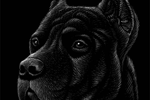 时尚潮流黑狗裁片印花服装印花设计