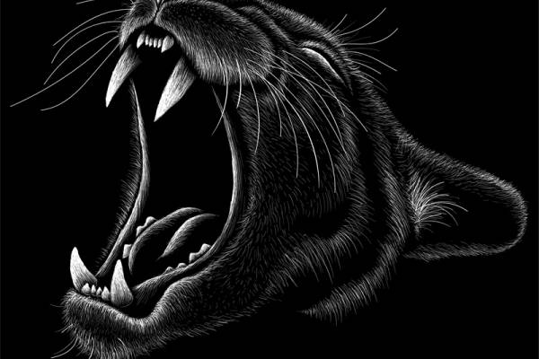 独特黑猫裁片印花服装 打造个性街头风格