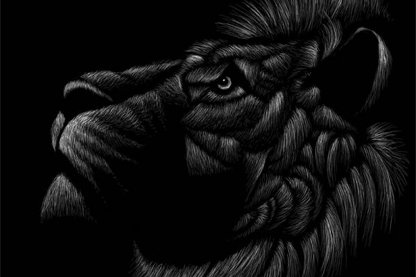 独特黑猩猩裁片印花服装，展现个性与艺术感