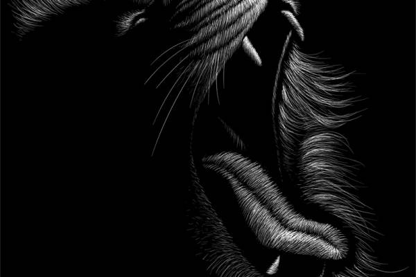 时尚黑白狮子头裁片印花服装印花设计