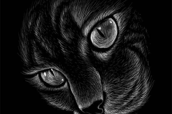 独特黑猫裁片印花设计，引领时尚服装印花新潮流