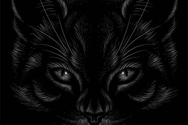 独特狐狸裁片印花服装,展现个性魅力