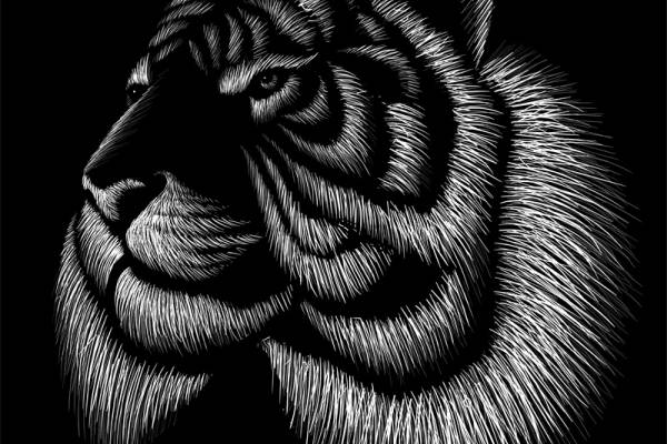 时尚潮流老虎头裁片印花服装印花设计