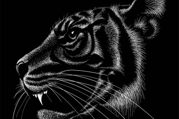 时尚个性猫头鹰裁片印花服装印花设计