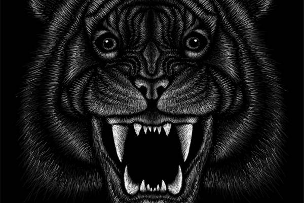 霸气黑豹裁片印花服装，展现野性魅力的时尚选择