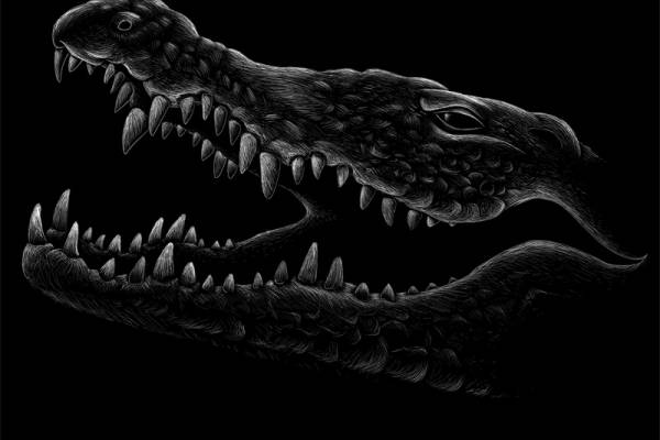 独特恐龙裁片印花服装，展现个性与时尚的完美结合