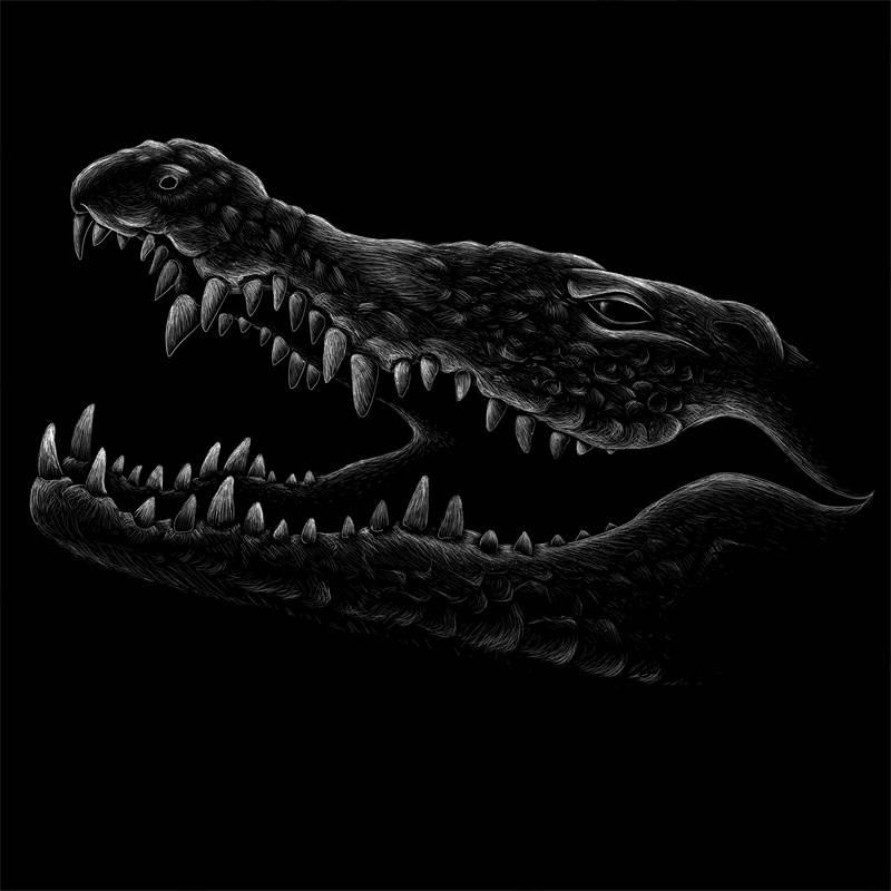 独特恐龙裁片印花服装,展现个性与时尚的完美结合